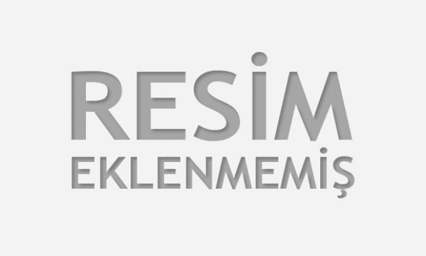 Tacettin EROL